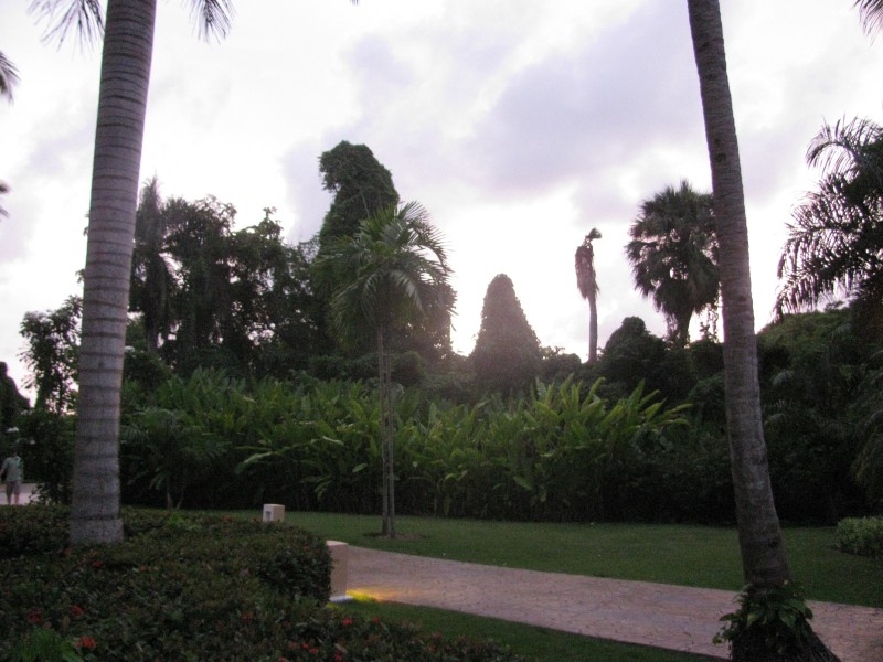 Dominican Republic 480.jpg